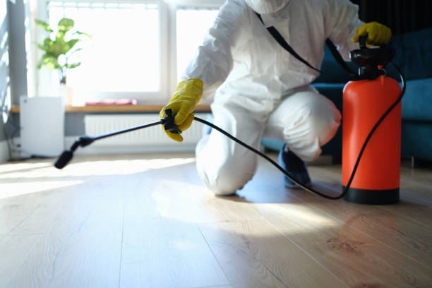 Reliable Odor Removal contractor in Applegate, CA by Trauma Clean Pros